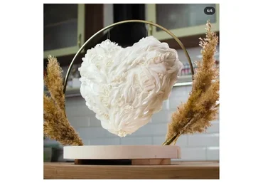 Торт Подвесное сердце из курса Мастер антигравитации. Любой из 5 уроков (Евгения Волошина)