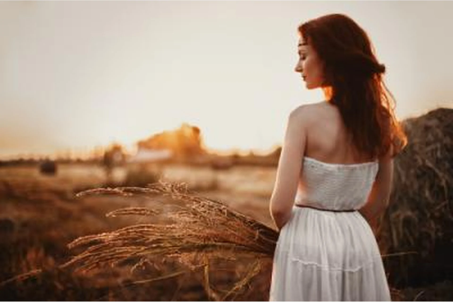 [Фотошкола Друзья] Свадебная фотография  (Софи Лебедева), фото 1 из 1.