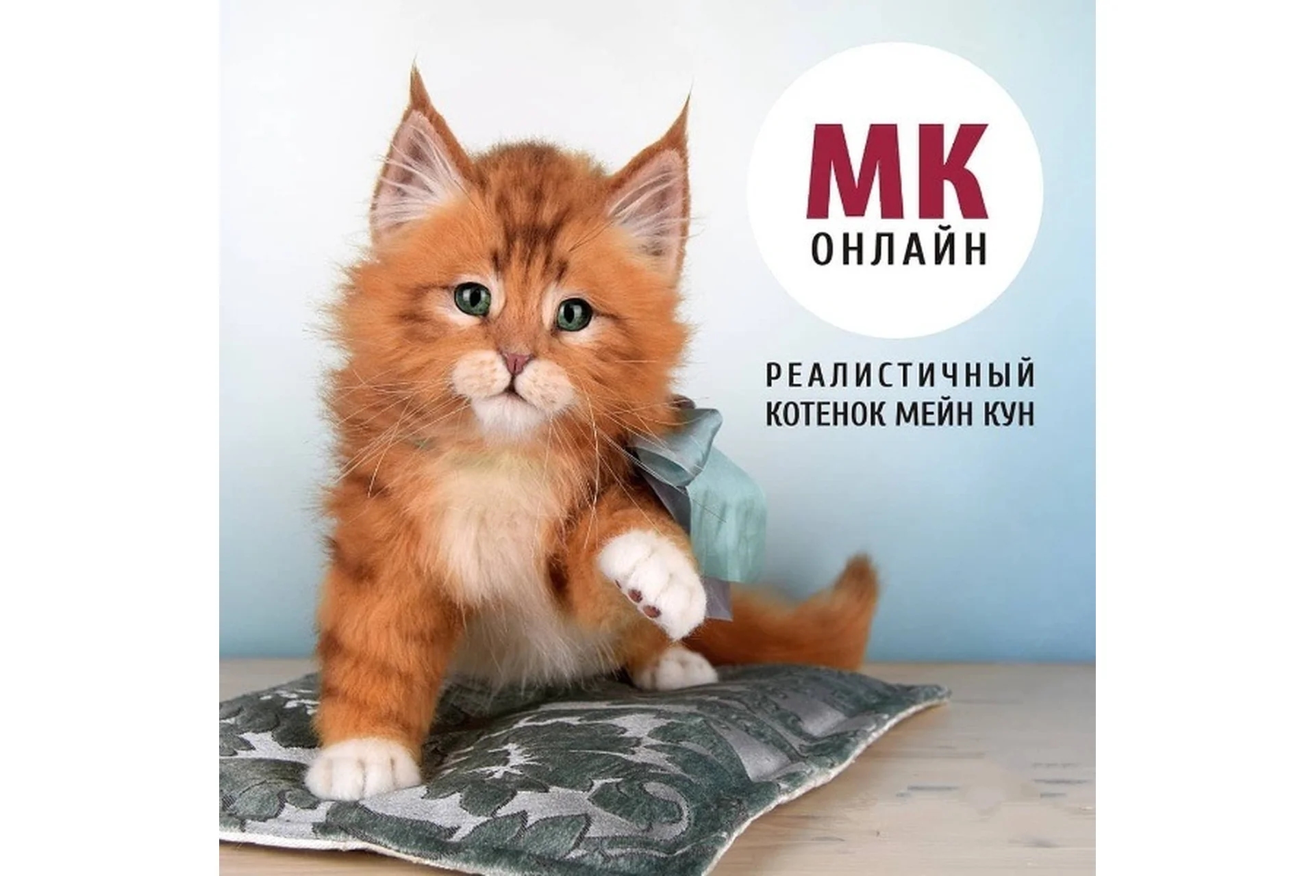 Реалистичный котенок Мейн-кун (Анастасия Масловская), фото 1 из 1.