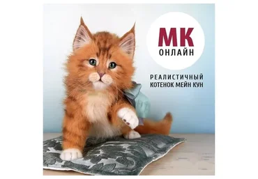 Реалистичный котенок Мейн-кун (Анастасия Масловская)
