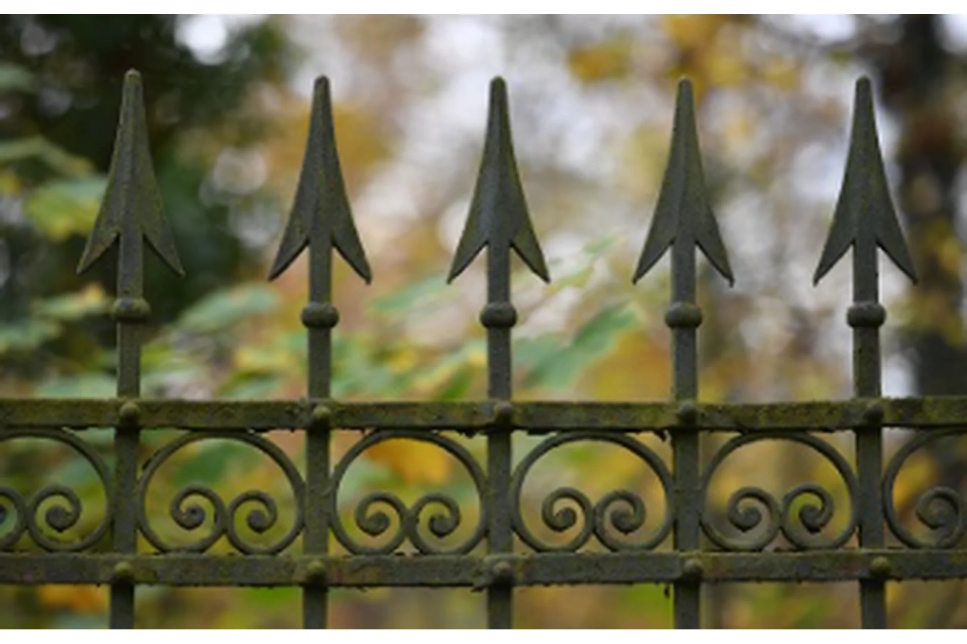 Граница. Онлайн-семинар (Елена Веселаго), фото 1 из 1.