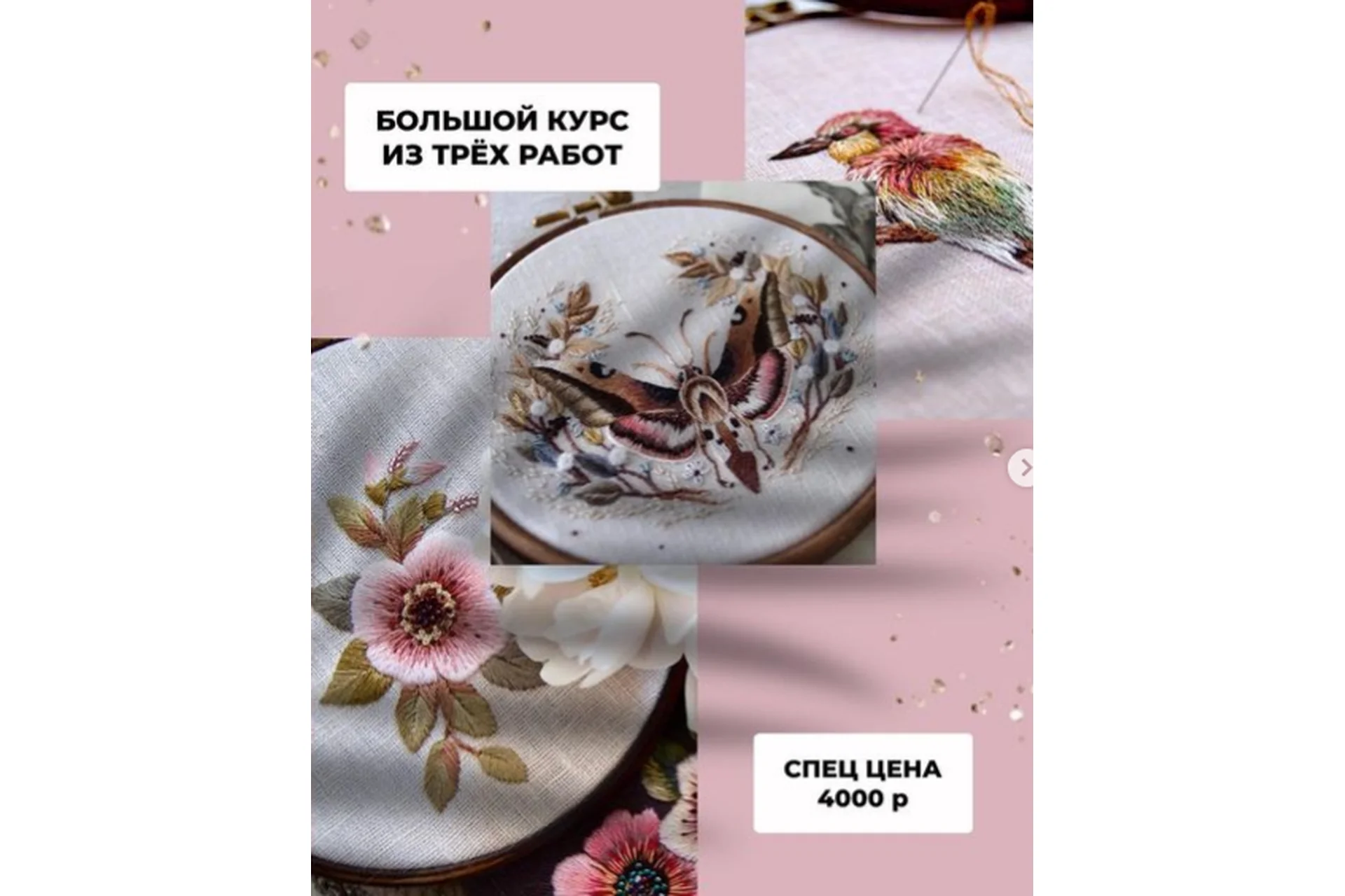 Большой курс из трех работ. Птичка Кукабарра, Цветок шиповника, Мотылек (katembroideryart), фото 1 из 1.