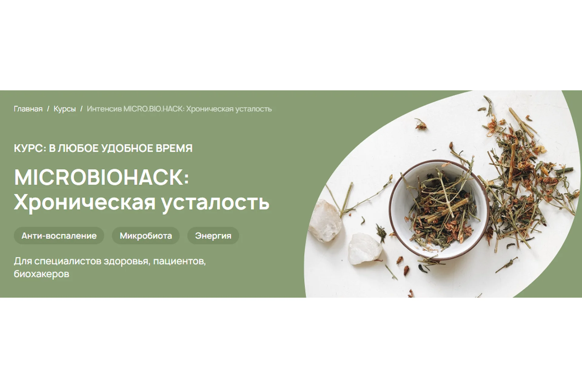 [Food bio chemistry] Microbiohack: Хроническая усталость. Тариф Специалист (Анастасия Родионова), фото 1 из 1.