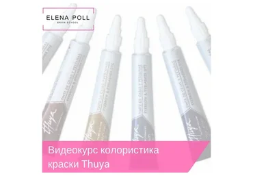 Колористика краски Thuya (Елена Поль)