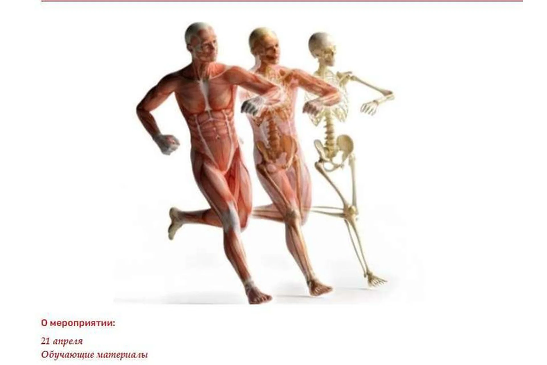 [Mokosmed] Нутрициология опорно-двигательного аппарата (Мария Моргунова), фото 1 из 1.