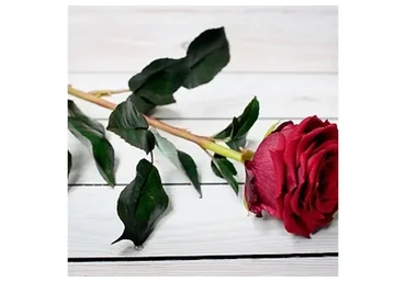 [Русская школа цветоделия] Роза «Бордо» из полимерной глины (Марина Головина)