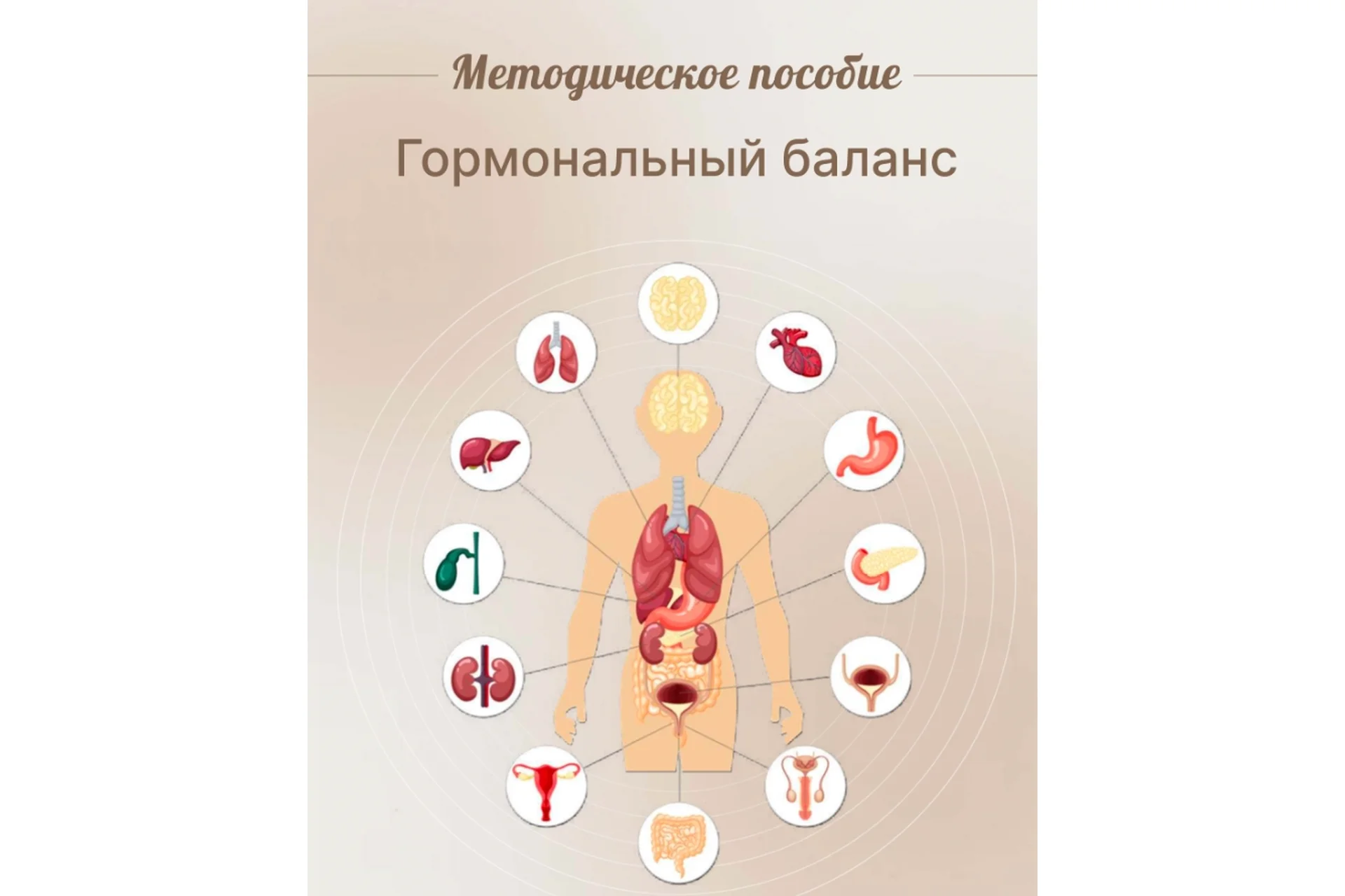 Методическое пособие Гормональный баланс (Юлия Савельева), фото 1 из 1.