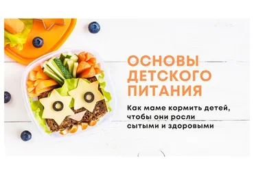 Основы детского питания. Пакет Lite (Анна Бойко)