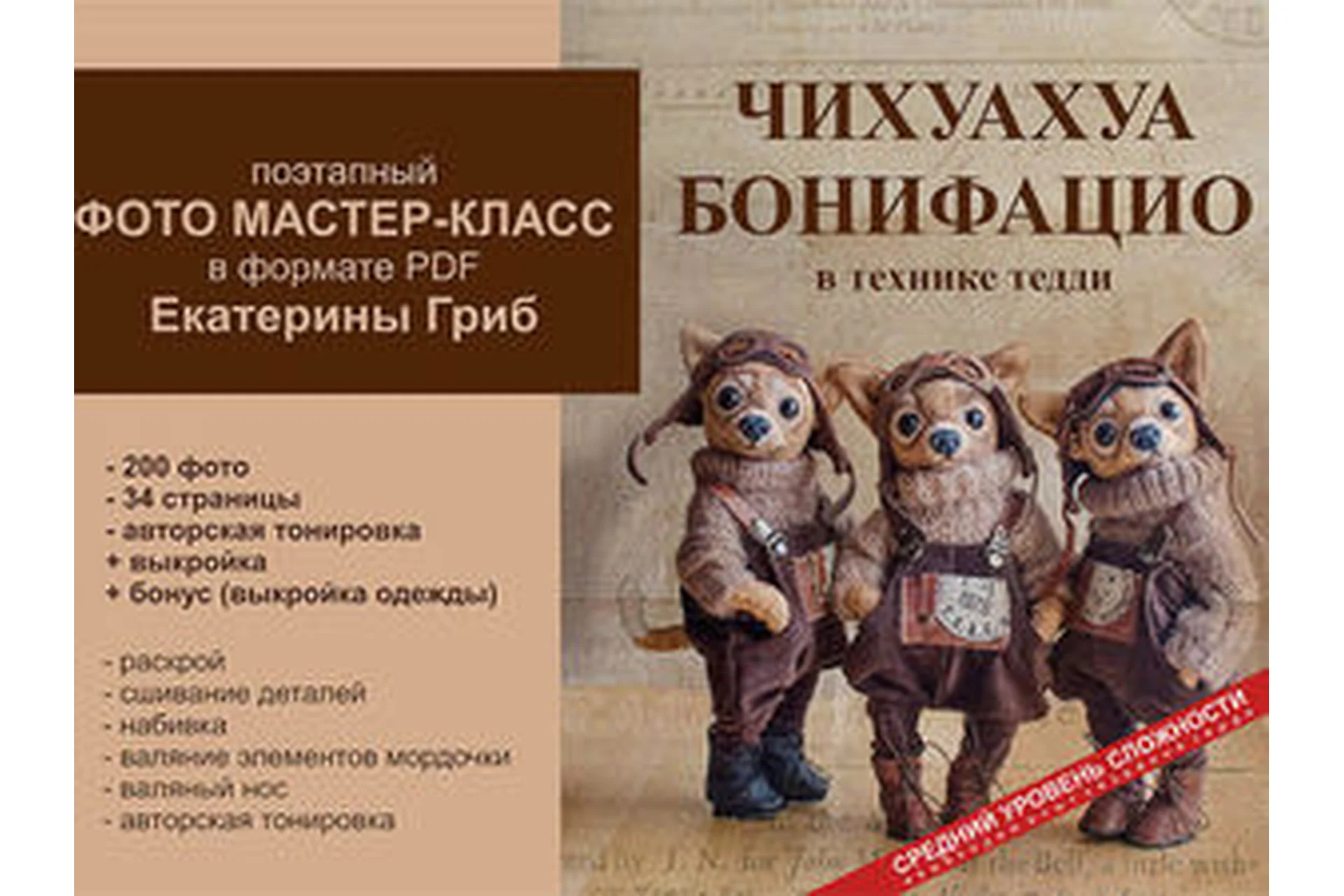 Чихуахуа Бонифацио (Катя Гриб), фото 1 из 1.