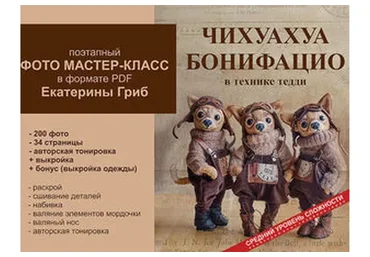 Чихуахуа Бонифацио (Катя Гриб)