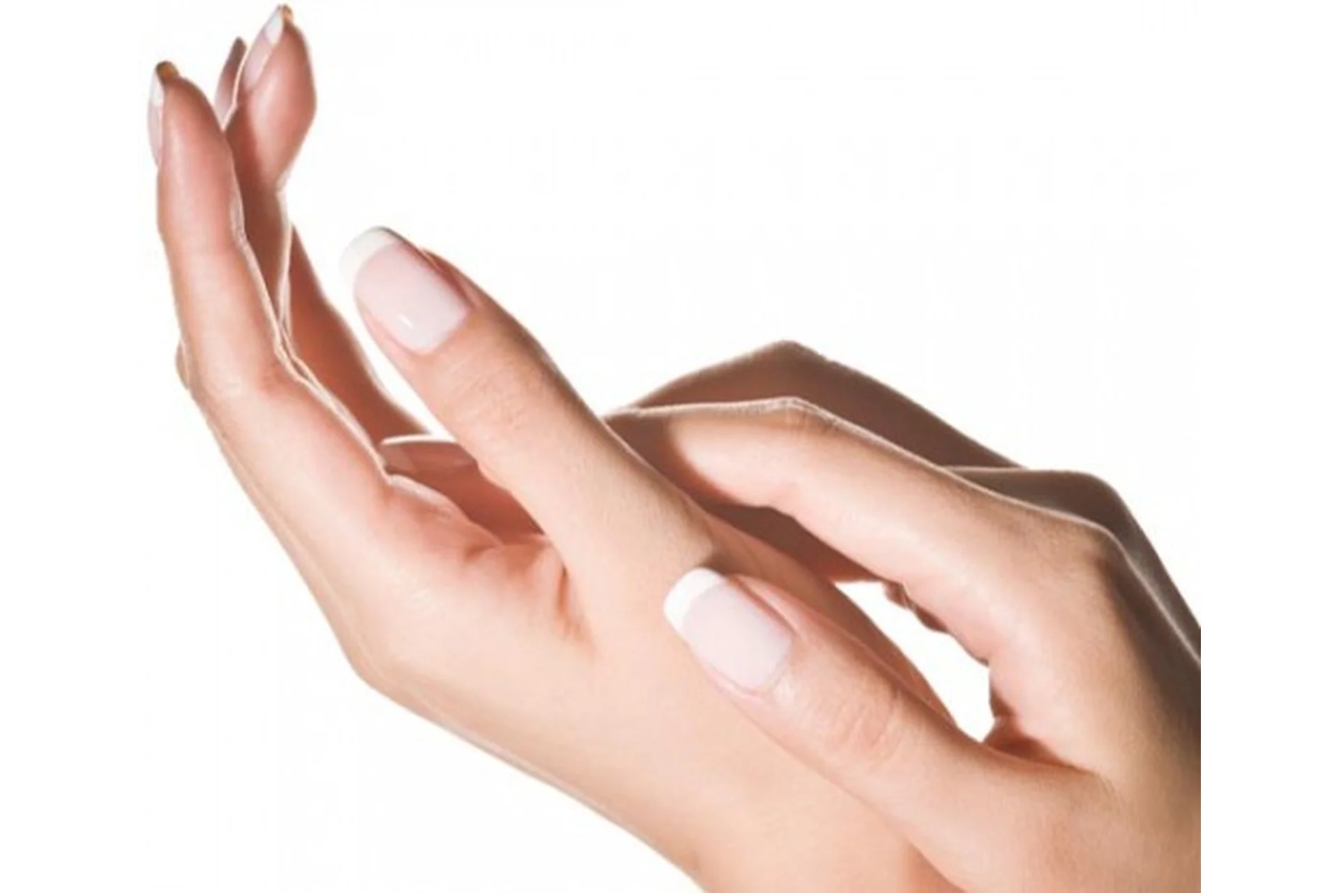 Нежные ручки (Ольга Штерн), фото 1 из 1.