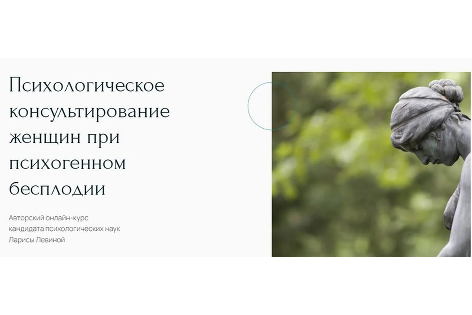 Психологическое консультирование женщин при психогенном бесплодии (Лариса Левина), фото 1 из 1.