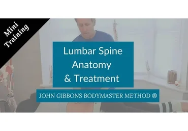 Анатомия и лечение поясничного отдела позвоночника (Джон Гиббонс)