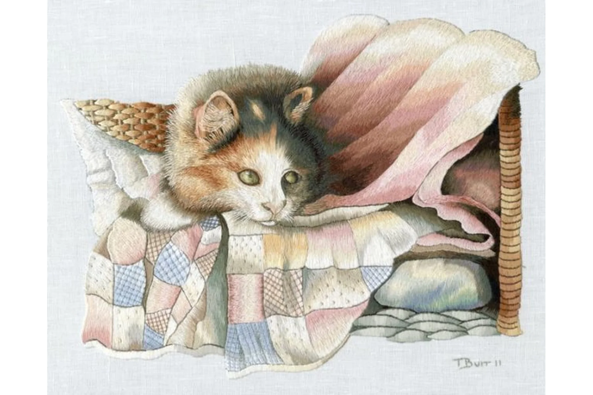 Embroidery DVD. Вышивка на ДВД  (Триш Бурр), фото 1 из 1.