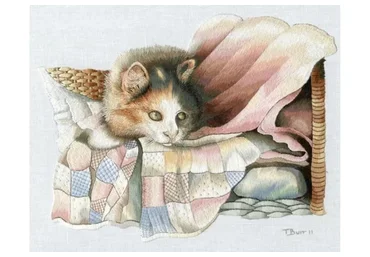 Embroidery DVD. Вышивка на ДВД  (Триш Бурр)