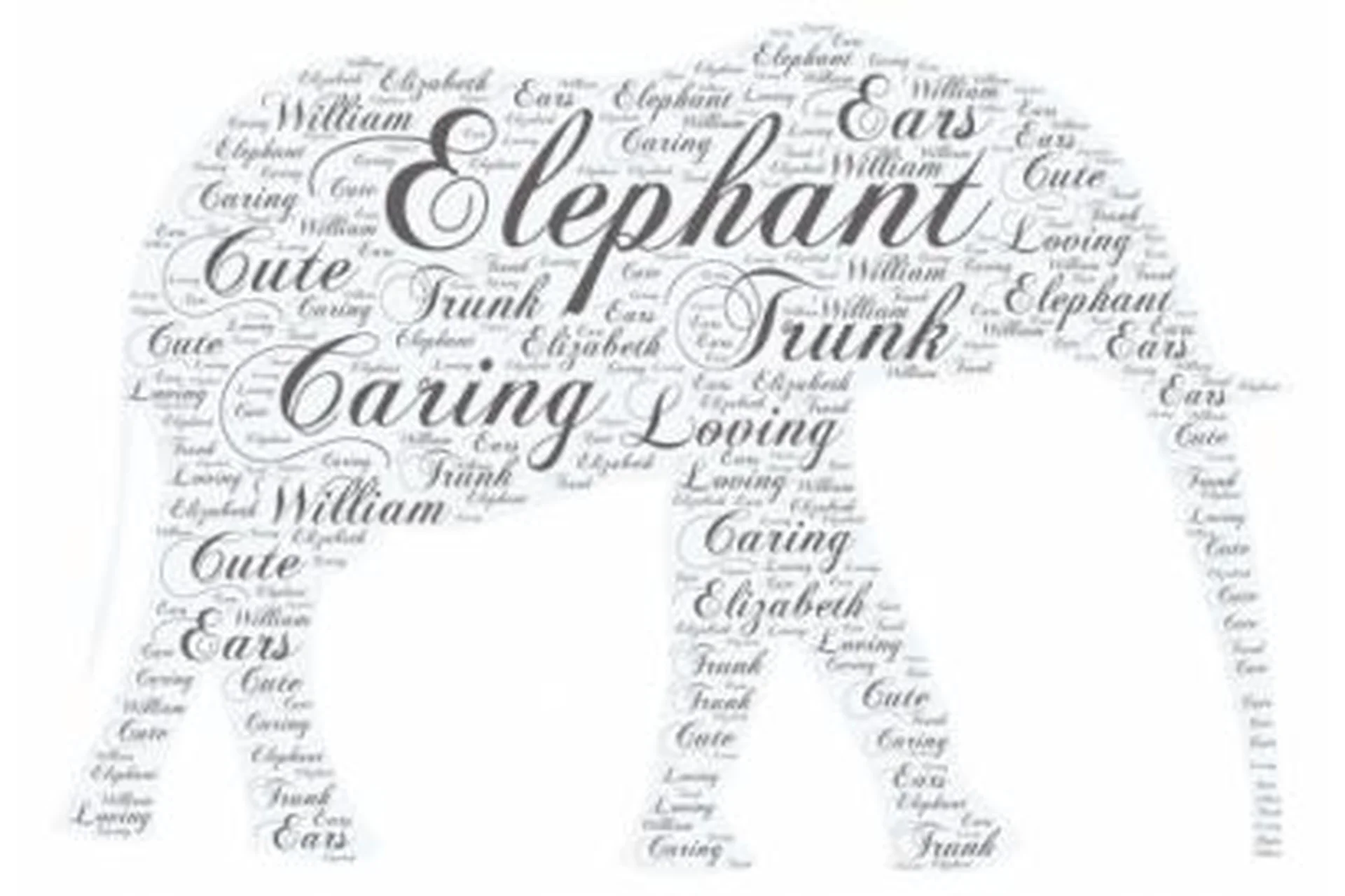 Фотонадписи Newborn Word Art, фото 1 из 1.