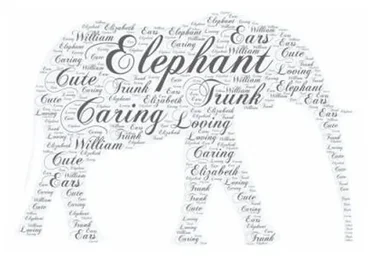 Фотонадписи Newborn Word Art