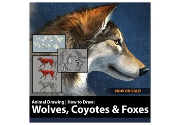 Как рисовать волков, койотов и лисиц. How to Draw Wolves, Coyotes and Foxes (Аарон Блейз)