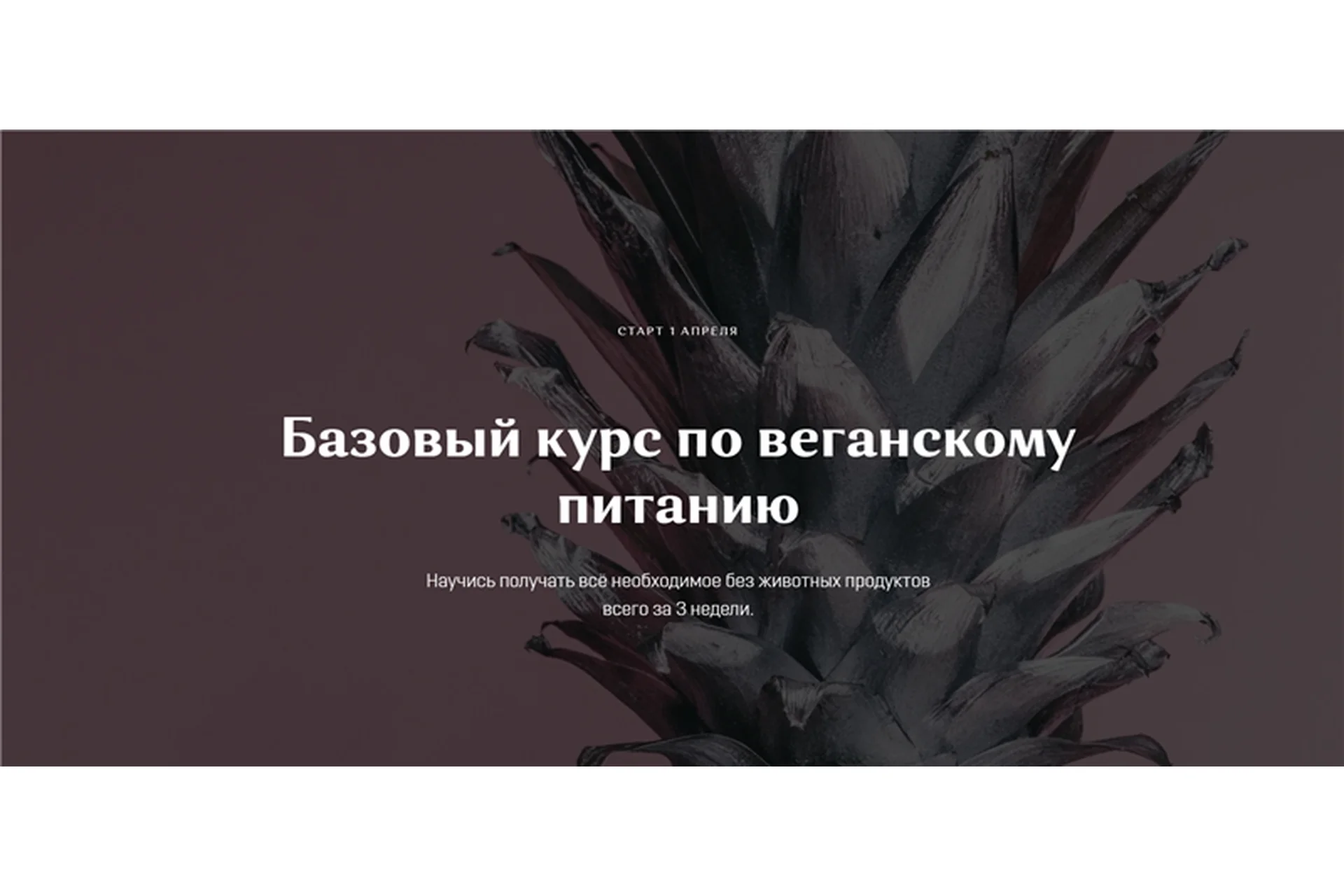 Базовый курс по веганскому питанию. Тариф - Самостоятельный (Настя Лисица), фото 1 из 1.
