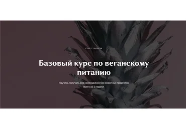 Базовый курс по веганскому питанию. Тариф - Самостоятельный (Настя Лисица)