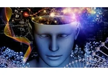 The Navigator System. Change the Direction of Your Life in 5 Seconds (Mike Mandel)