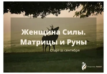 Женщина силы. Матрицы и руны (Марина Левит)