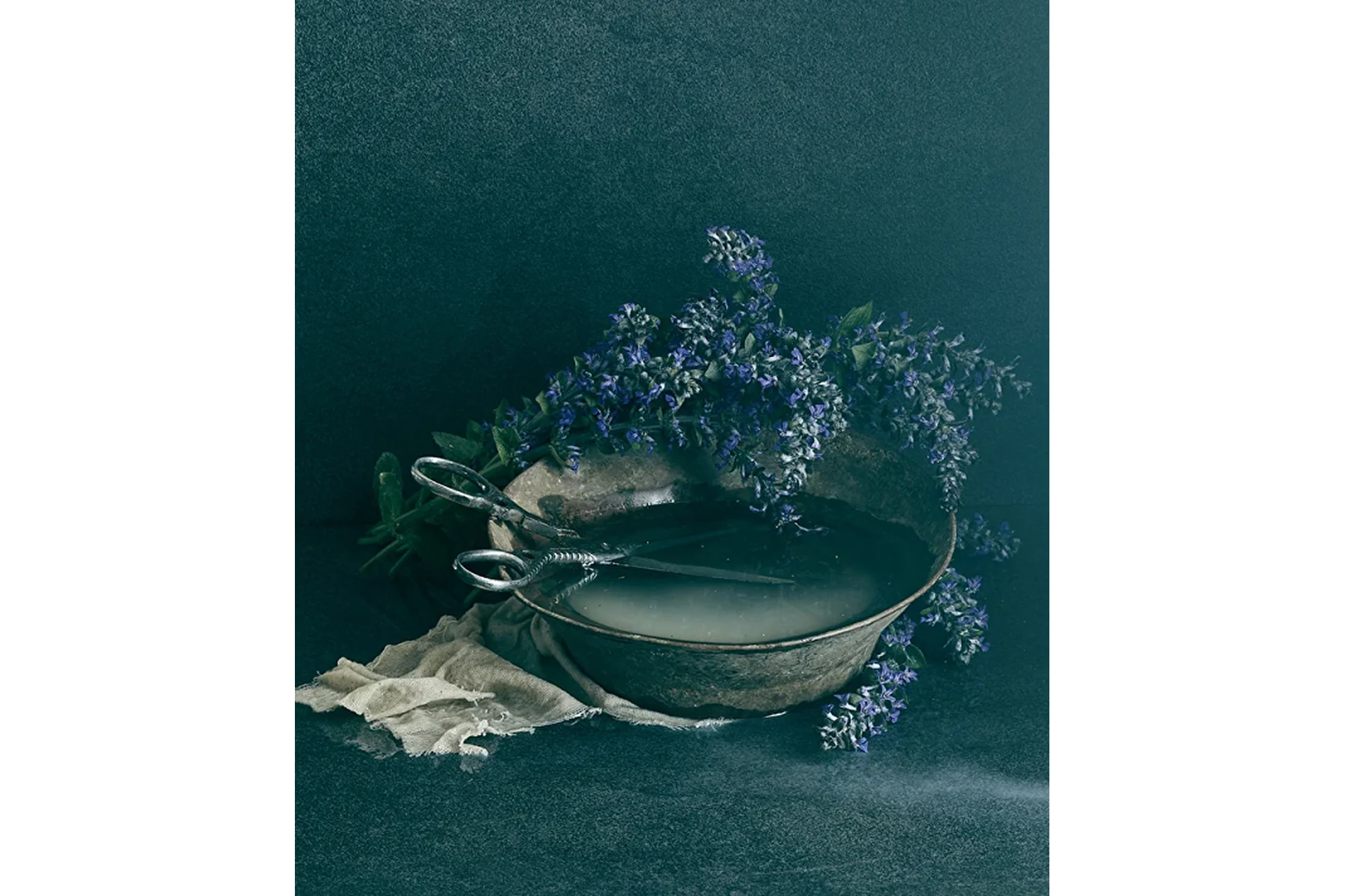 Still life в домашних условиях (Ольга Тупоногова-Волкова), фото 1 из 1.