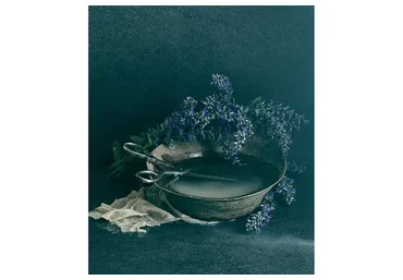 Still life в домашних условиях (Ольга Тупоногова-Волкова)