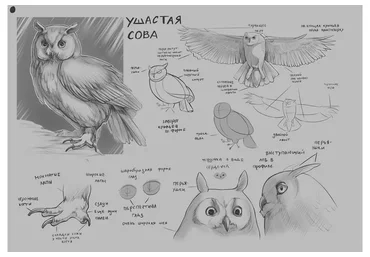 [XYZ School] Скетчинг (Егор Гришин)