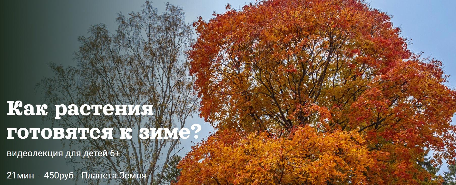 [Детский лекторий] Как растения готовятся к зиме? (Александр Толмачев)