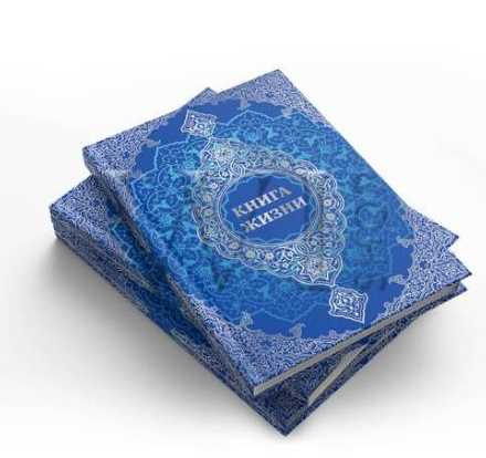 [Woman Insight] Книга жизни (Светлана Керимова)