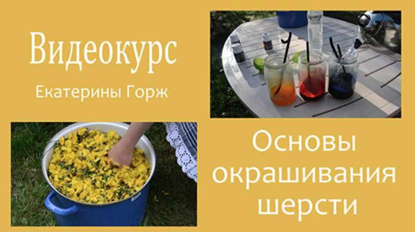 Основы окрашивания шерсти (Екатерина Горж)