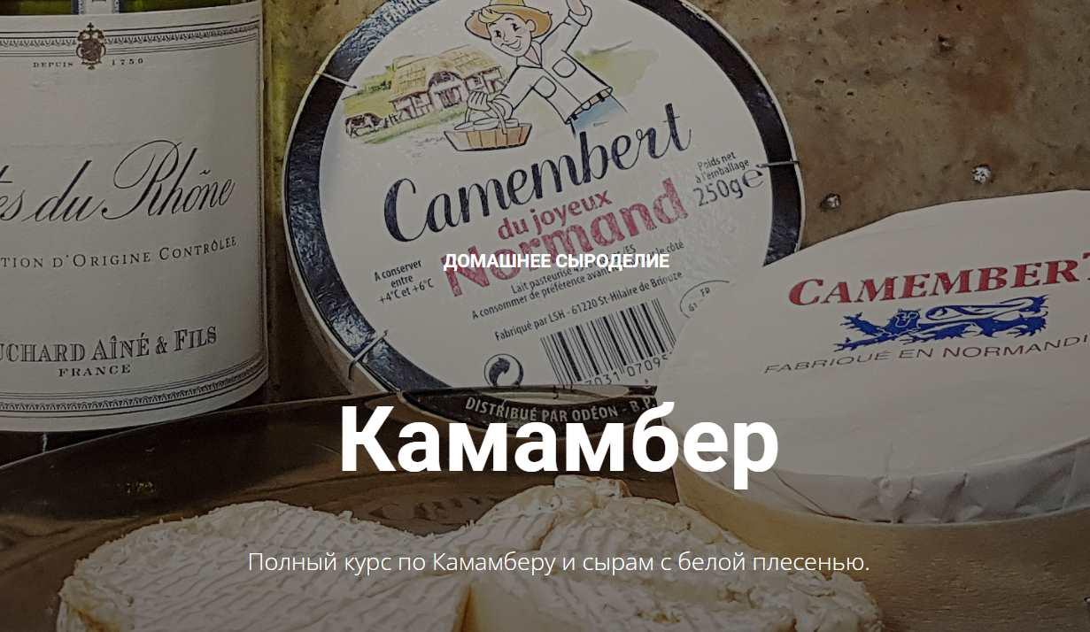Камамбер (Алексей Сыровер)