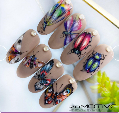 Насекомые (Светлана Бакланова)