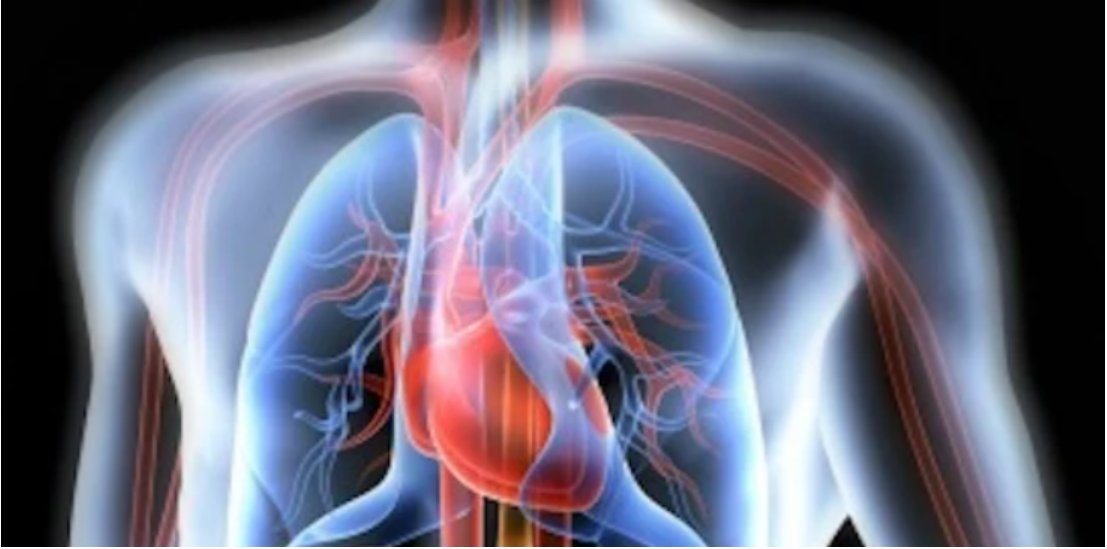 [Sigh Energy] Кардиореспираторное усиление. Cardiorespiratory Enhancement Powerful Plus +11x (Extra Strong)