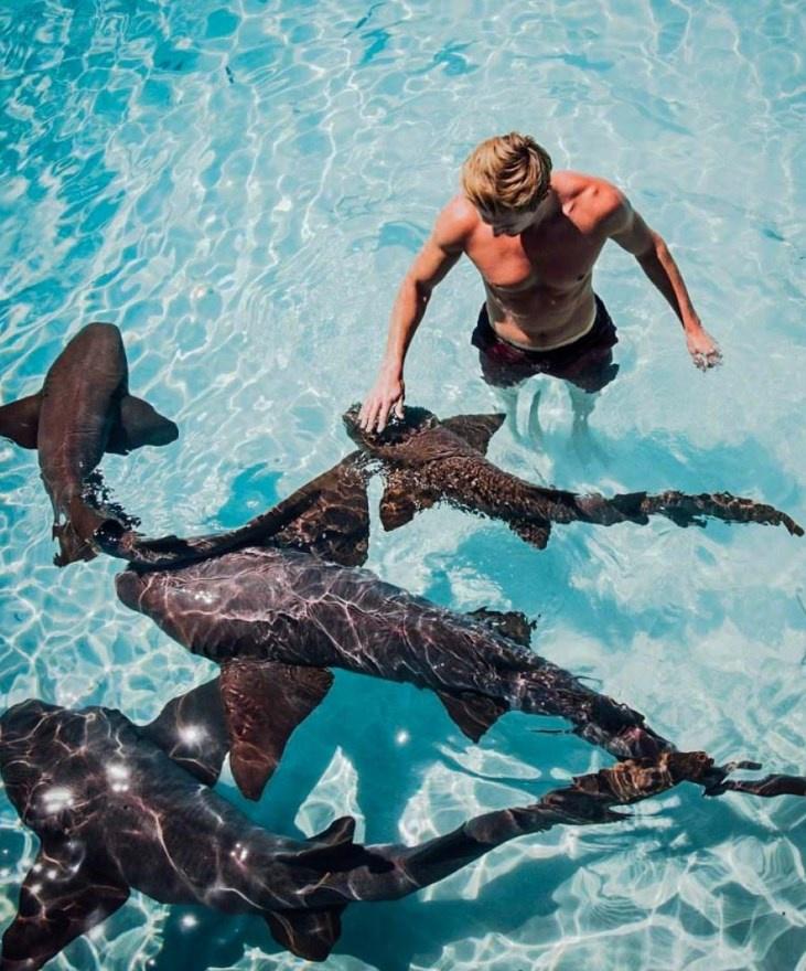 Мобильная версия пресетов 4 коллекции от Анюта Рай и Сергея Кабанкова (DNG)