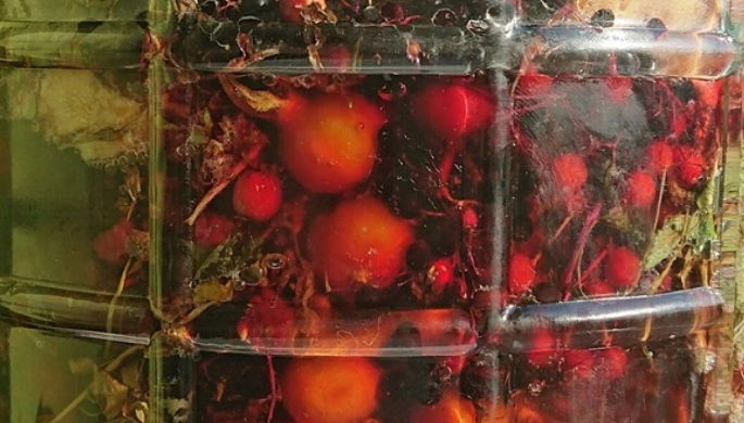 Творим Сурицу (Ольга Данилюк)