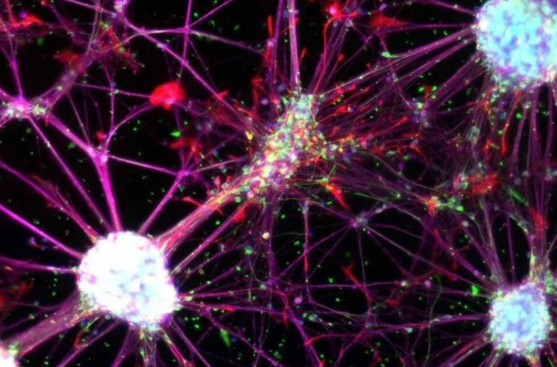 [Sigh Energy] При всех видах рака - C. R | C.R Powerful Plus +11x (Extra Strong)