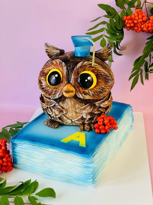 [anastasiya_bakery] 3D торт Совенок на книге (Анастасия Политыкина)