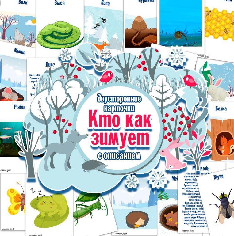 [umeem_igrat] Карточки с описанием. Кто как зимует (Алсу Хаметова)