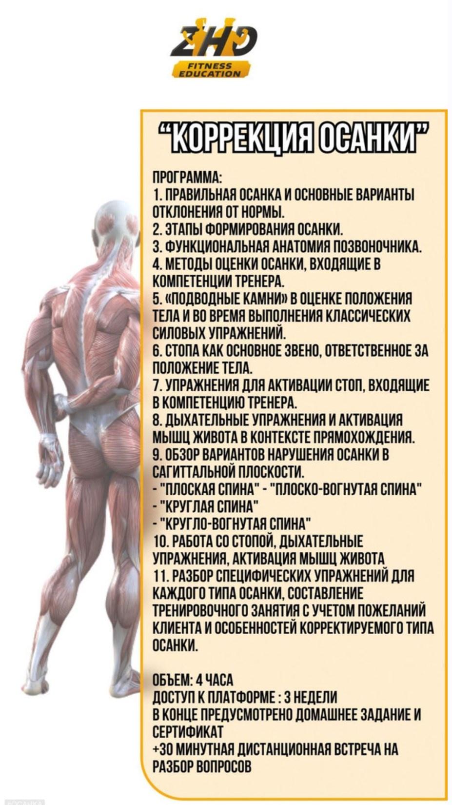 [ZHD] Коррекция осанки (Дмитрий Желдаков)