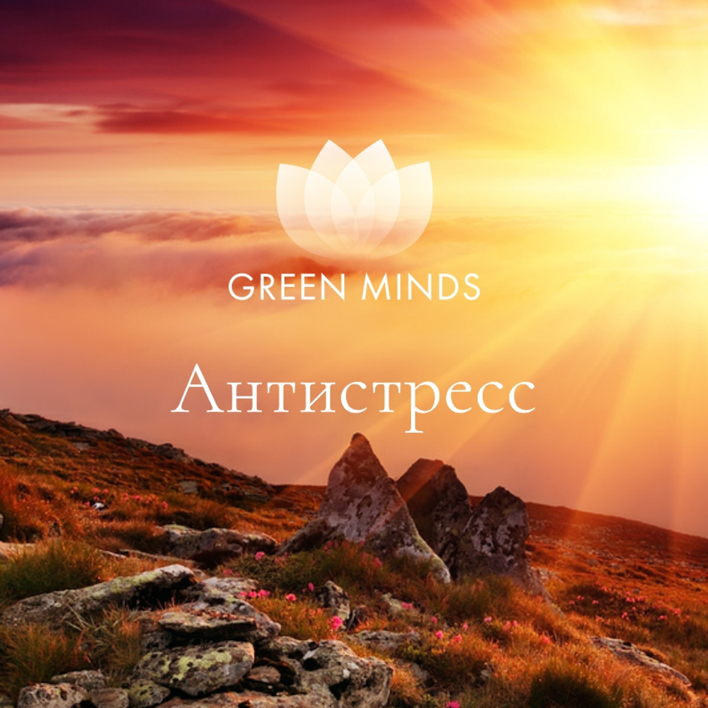 Нейромедитация Green Minds. Антистресс (Алексей Ситников)