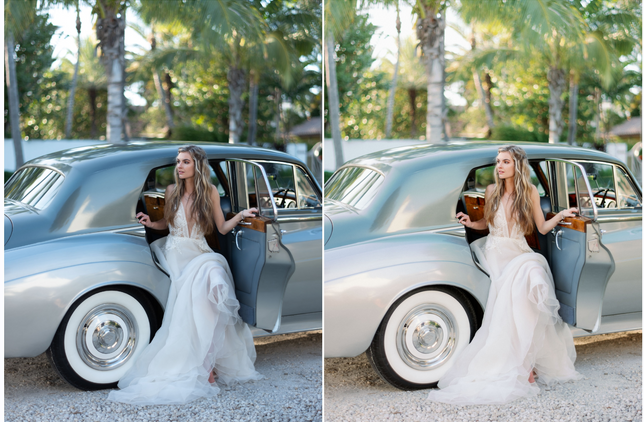 Топовые свадебные Fine-art пресеты с профилями Goodlight presets (Lr)