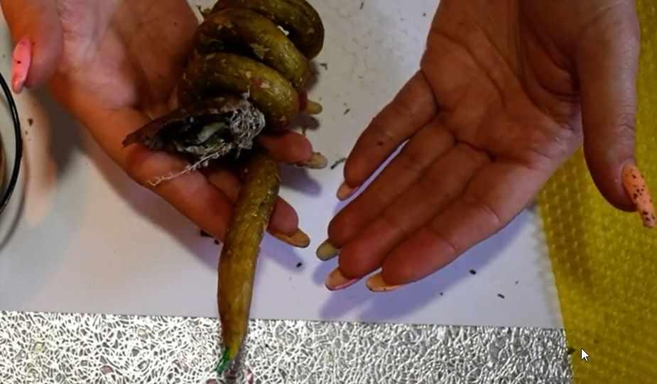 [Сова - Онлайн школа волшебства] Свеча Змейка (Елена Мирошниченко)