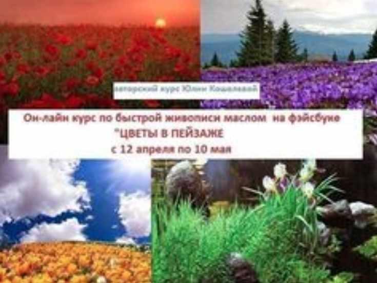 Цветы в пейзаже (Юлия Кошелева)