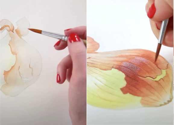 [lectoroom] Ботаническая живопись. Луковица акварелью (Светлана Лансе)