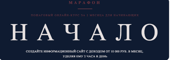 Информационный сайт с доходом от 10 000 руб. в месяц, без технического образования и опыта (Роман Пузат), фото 1 из 1.