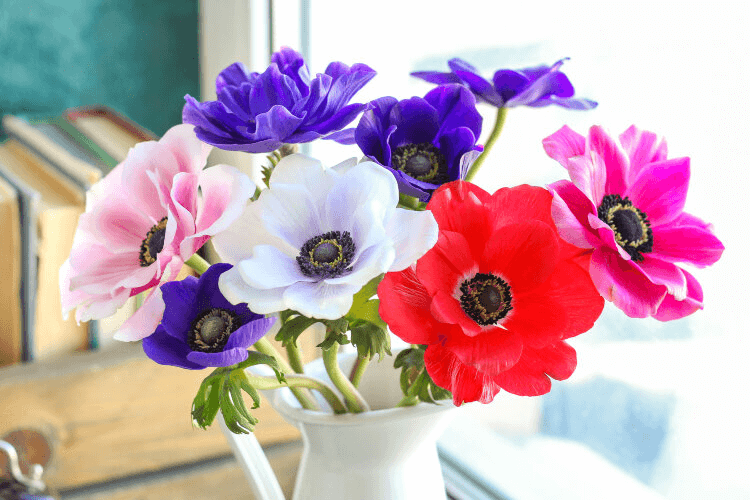 [tanyaflower] Анемоны