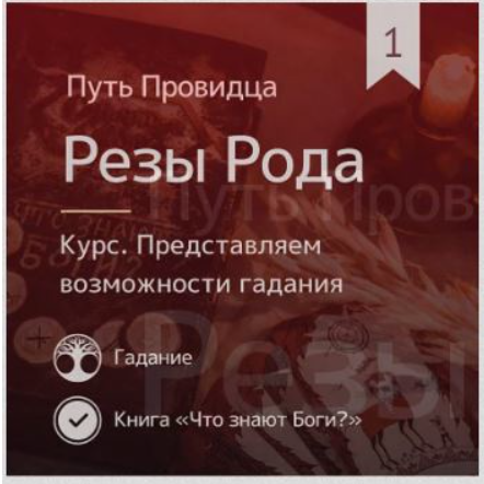 Путь Провидца. Резы Рода. Знакомство с возможностями Рез Рода (Ольга Боянова, Ирина Иванова)