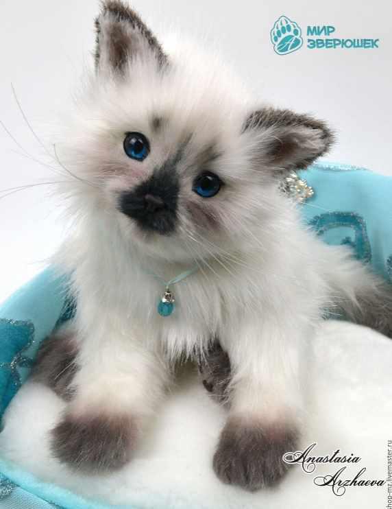 [Игрушки] Выкройка Котенок в стиле натюр (Анастасия Аржаева)